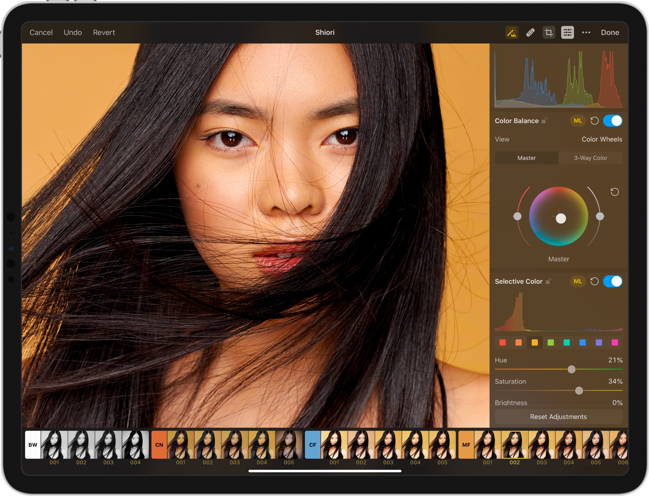 pixelmator ipad tutorial